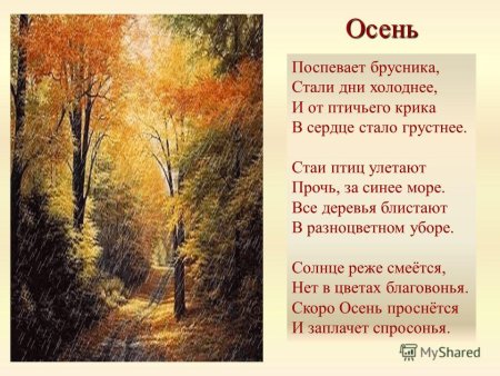 Бальмонт поспевает брусника