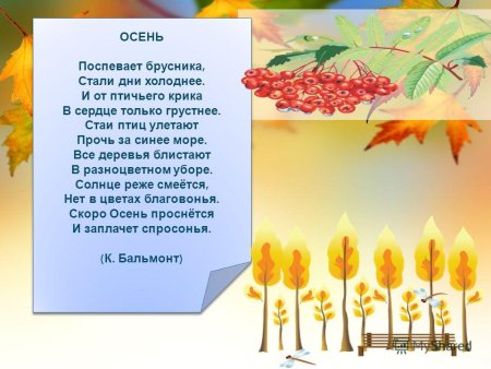 Бальмонт поспевает брусника