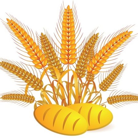 Хлеб рисунок