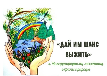 Рисунок на тему береги свою планету