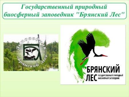 Всероссийский день заповедников и национальных парков символ