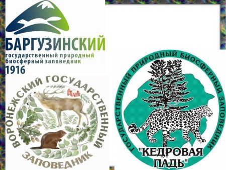 11 Января день заповедников и национальных