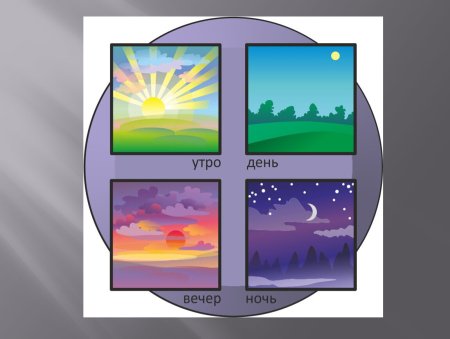 Сутки утро день вечер ночь