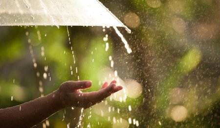 Дождь и солнце