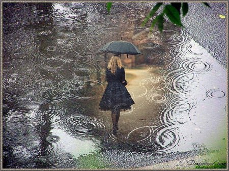 Дождливый день