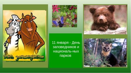 День национальных парков