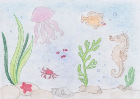Рисование морские обитатели