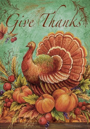 Раскраски индейки ко Дню Благодарения