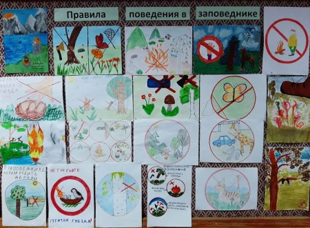 Рисунок день заповедников и национальных