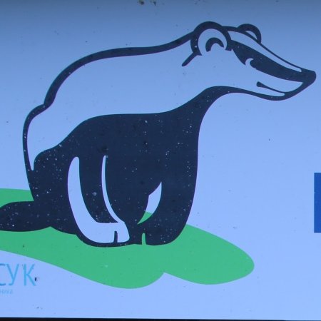 Марш парков