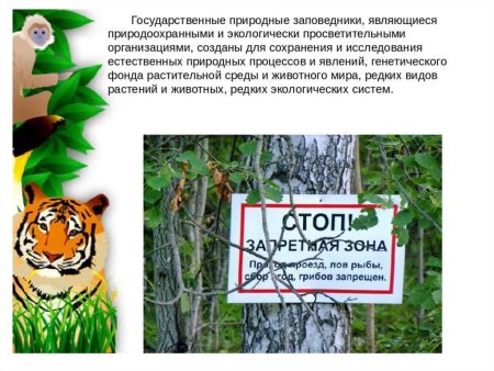 Защита животных