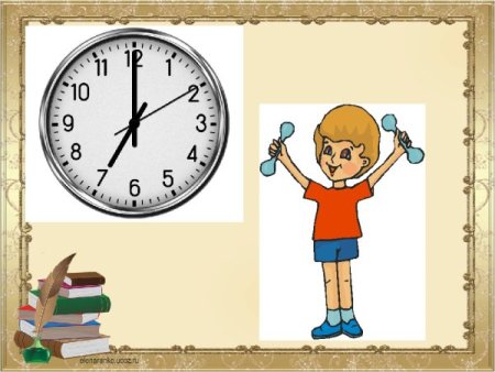 Распорядок дня