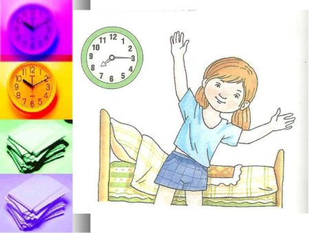 Распорядок дня