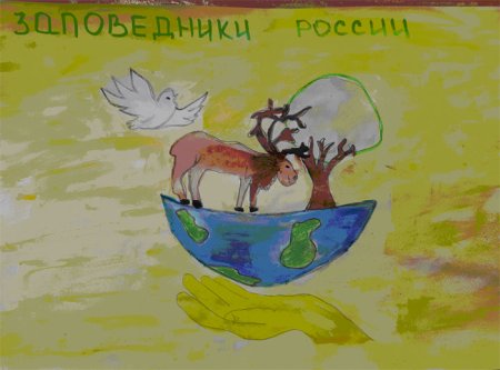 День заповедников рисунок