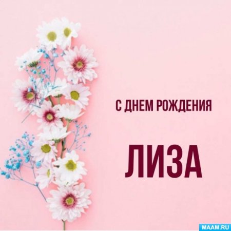С днем рождения Лиза прикольные