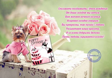 Поздравления с днём рождения Лизе