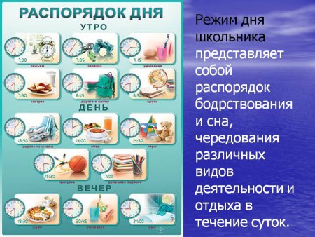 Распорядок дня школьника рисунок