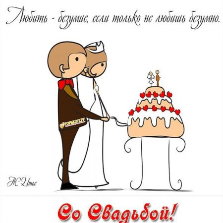С днём свадьбы прикольные поздравления