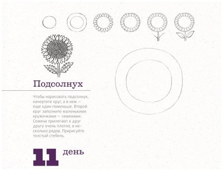 365 Дней рисования