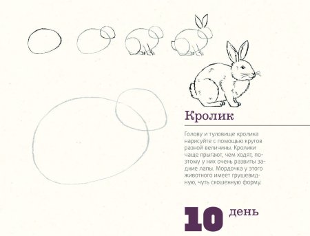 Таблица 365 дней