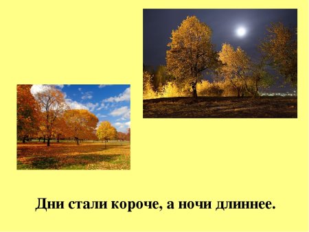 Осенью дни становятся короче