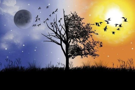 День сменяет ночь