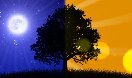 Фон день ночь