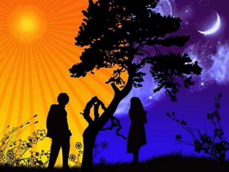 Дерево день и ночь