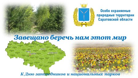 Эмблема заповедника Брянский лес