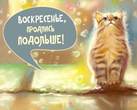 Открытки с добрым утром воскресенья