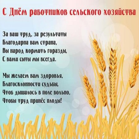 Дети в поле с колосьями