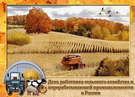 С днём сельских женщин поздравление картинки