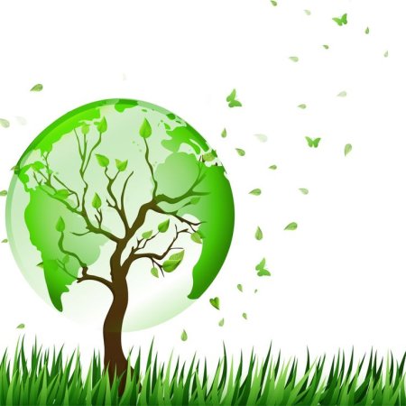 Деревья в плане