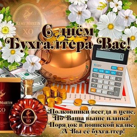 С днем бухгалтера прикольные