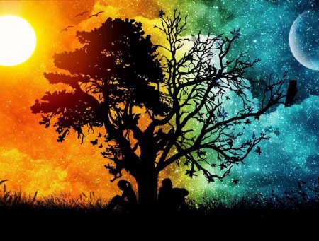 Дерево день и ночь