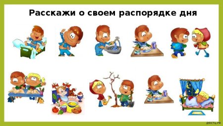 Мой распорядок дня