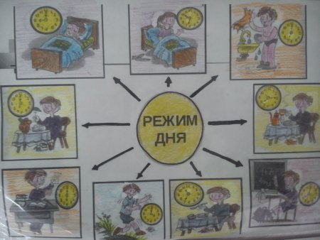 Распорядок дня