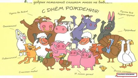 Звери поздравляют с днем рождения