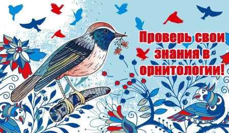 Праздник птиц