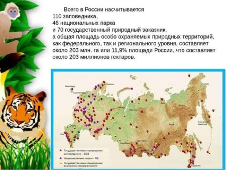 Символ заповедника