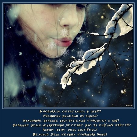 День первых признаков зимы 8 ноября