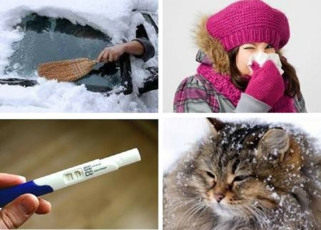 Картина по номерам Снегири