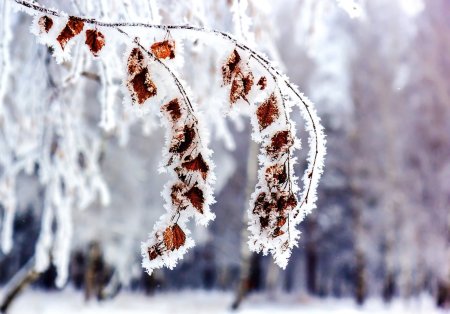Признаки зимы для дошкольников