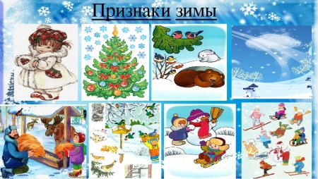 Признаки зимы