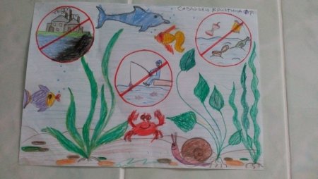 День воды рисунок