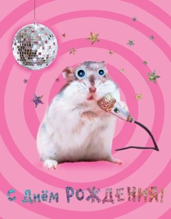 С днем рождения хомячок