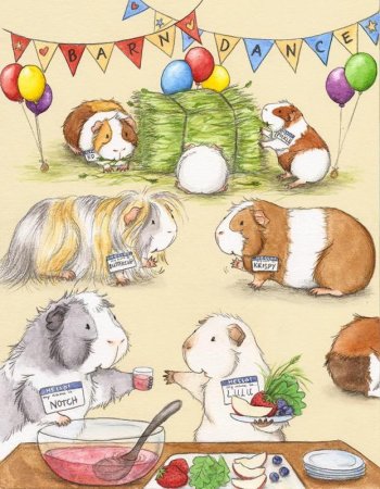 Открытки с морскими свинками