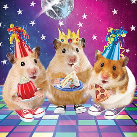 С днем рождения хомяк