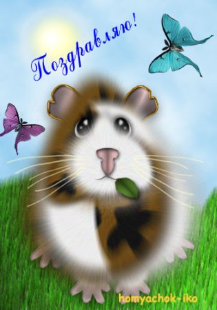 Открытки с днем рождения с хомячком