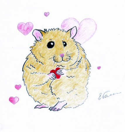 Рисование хомяка